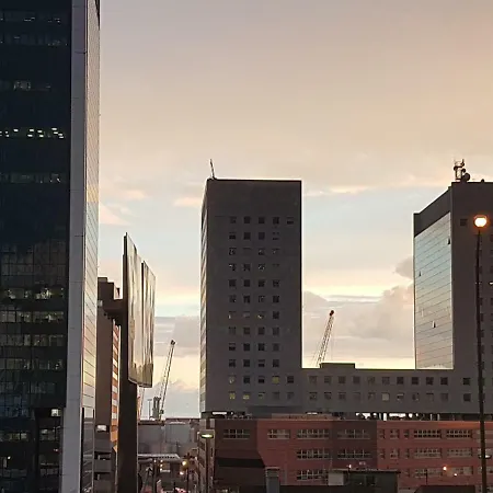 Riflessi Di Luce